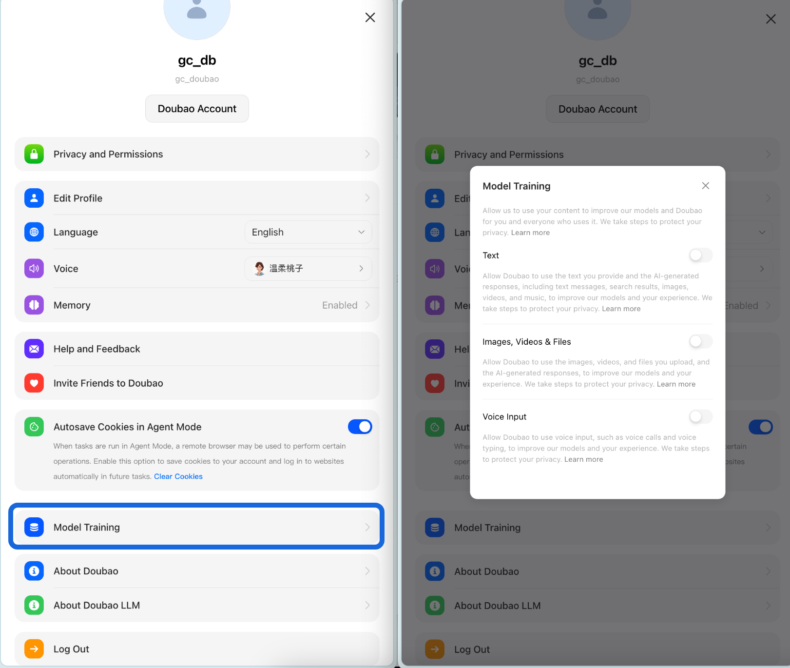 Doubao Model Training settings dialog